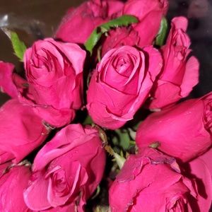 Meet your Posher, Judith